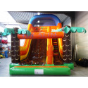 Toboggan Fun Slide