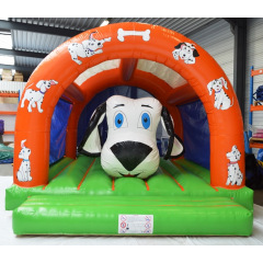Regenboog Hond Regenboog Hond