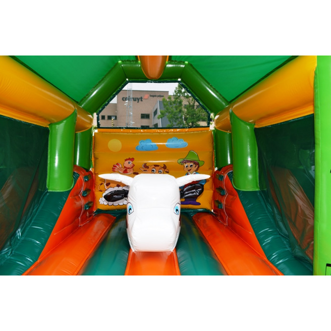 Multifun Ferme avec 2 toboggans