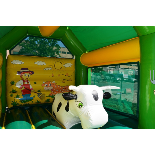 Classique Ferme avec toboggan