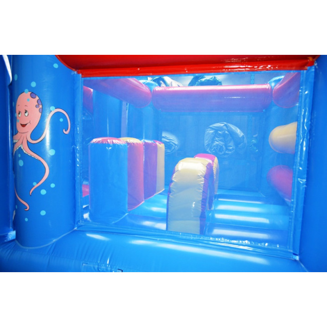 Hindernissenbaan Vis