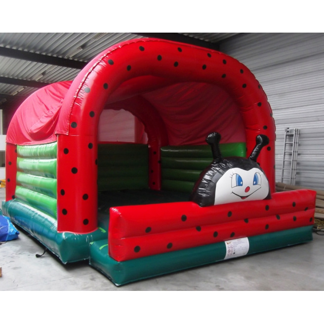 Regenboog Lieveheerbeest Regenboog Lieveheerbeest