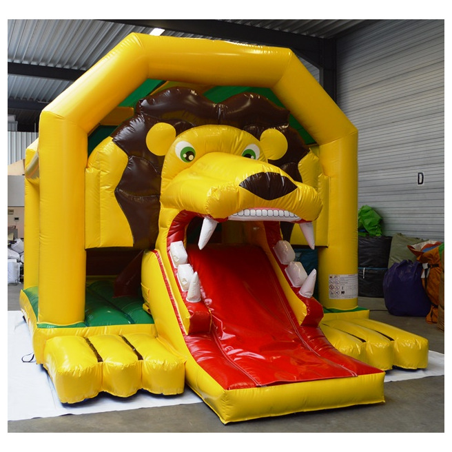 Classique Lion avec toboggan avant